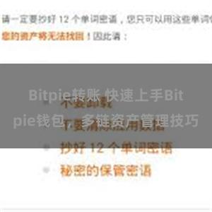 Bitpie转账 快速上手Bitpie钱包，多链资产管理技巧