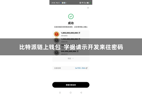 比特派链上钱包 字据请示开发来往密码