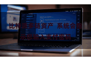比特派多链资产  系统会指示您输入支付密码